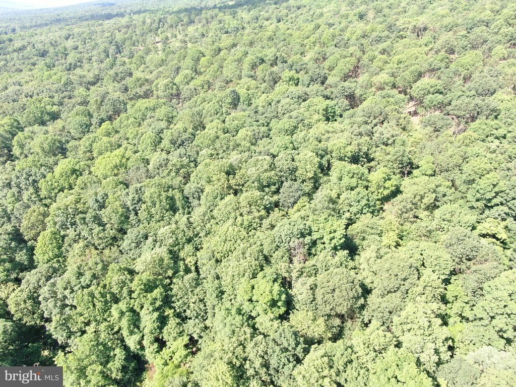 Property photo #22 for 5.5+/- Acres off Mountain Green Rd, Willow Hill, PA 17271