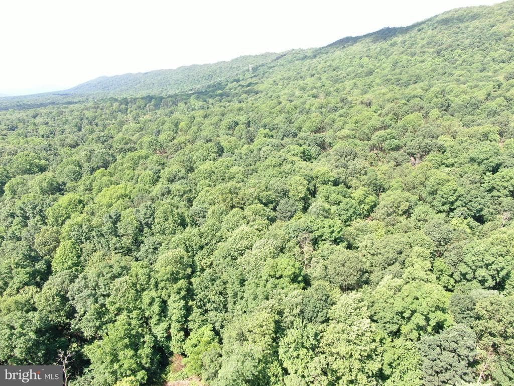Property photo #23 for 5.5+/- Acres off Mountain Green Rd, Willow Hill, PA 17271