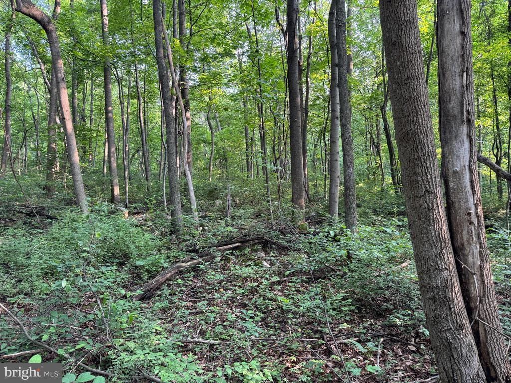 Property photo #3 for 5.5+/- Acres off Mountain Green Rd, Willow Hill, PA 17271