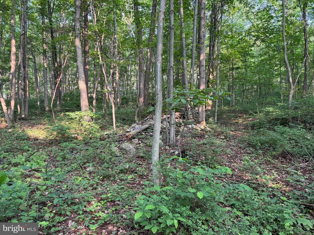 Property photo #4 for 5.5+/- Acres off Mountain Green Rd, Willow Hill, PA 17271