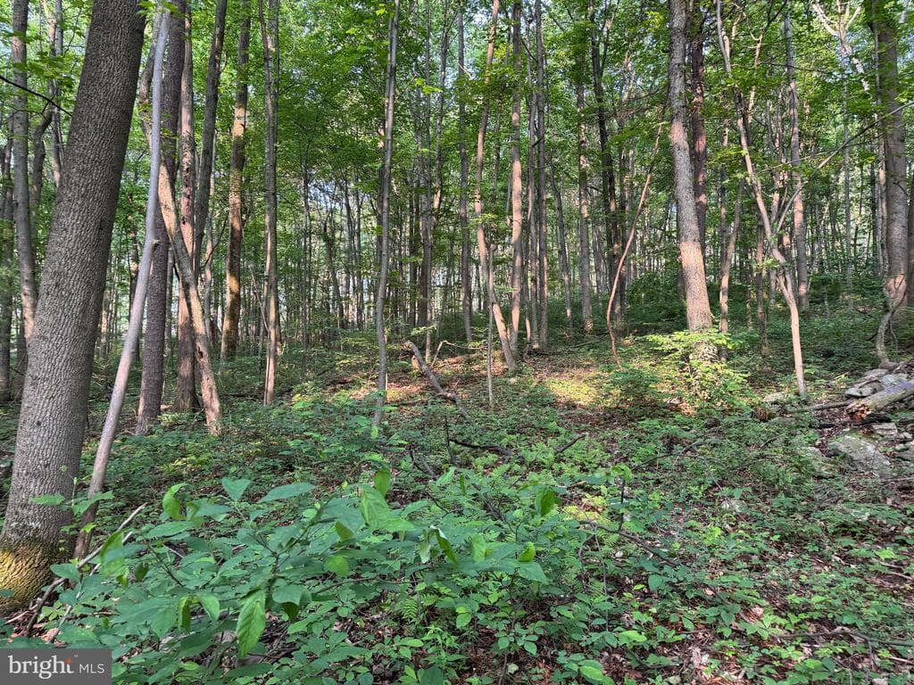 Property photo #5 for 5.5+/- Acres off Mountain Green Rd, Willow Hill, PA 17271