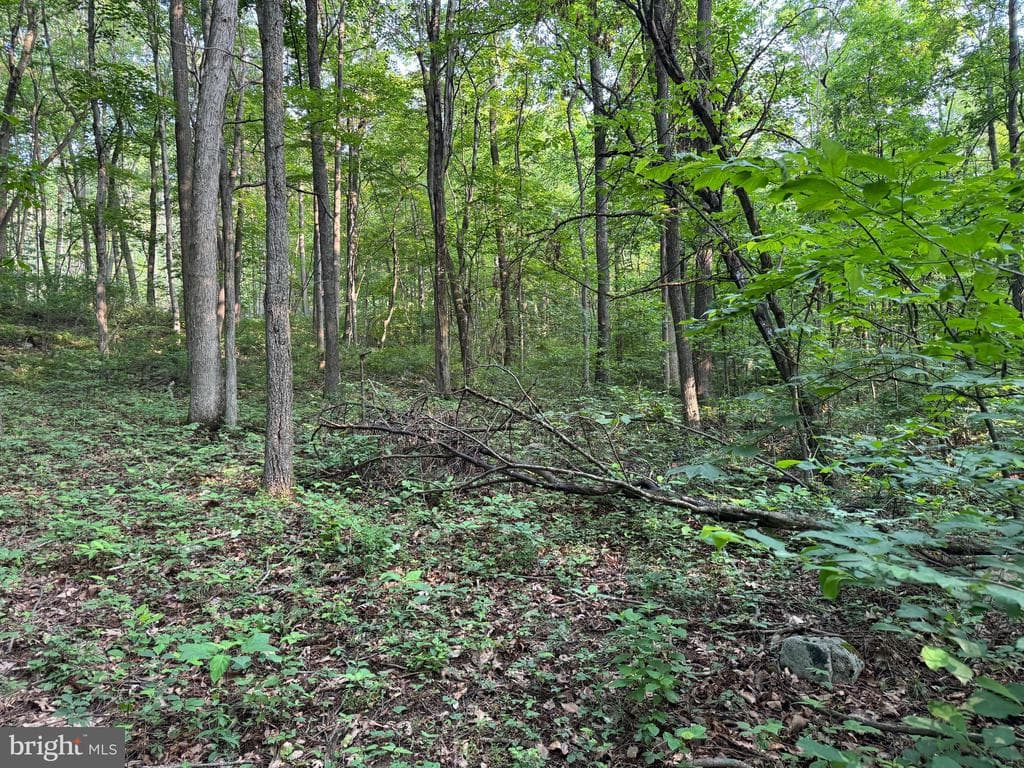 Property photo #6 for 5.5+/- Acres off Mountain Green Rd, Willow Hill, PA 17271