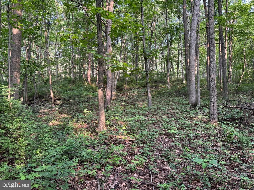 Property photo #7 for 5.5+/- Acres off Mountain Green Rd, Willow Hill, PA 17271