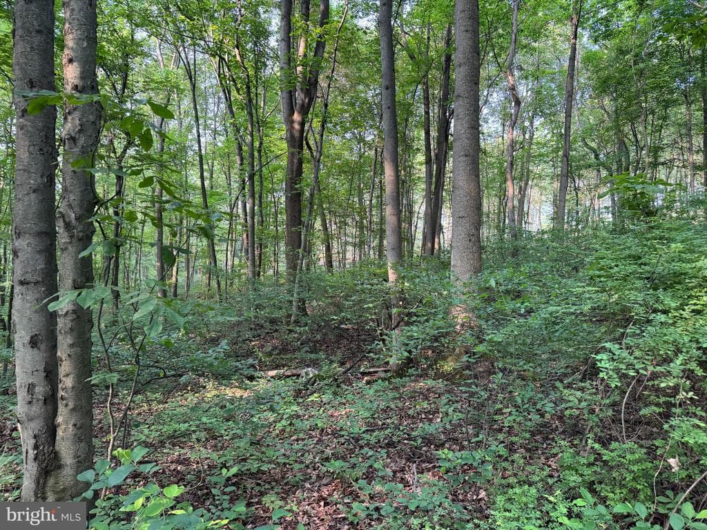 Property photo #8 for 5.5+/- Acres off Mountain Green Rd, Willow Hill, PA 17271