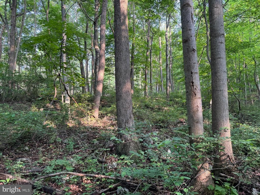 Property photo #9 for 5.5+/- Acres off Mountain Green Rd, Willow Hill, PA 17271