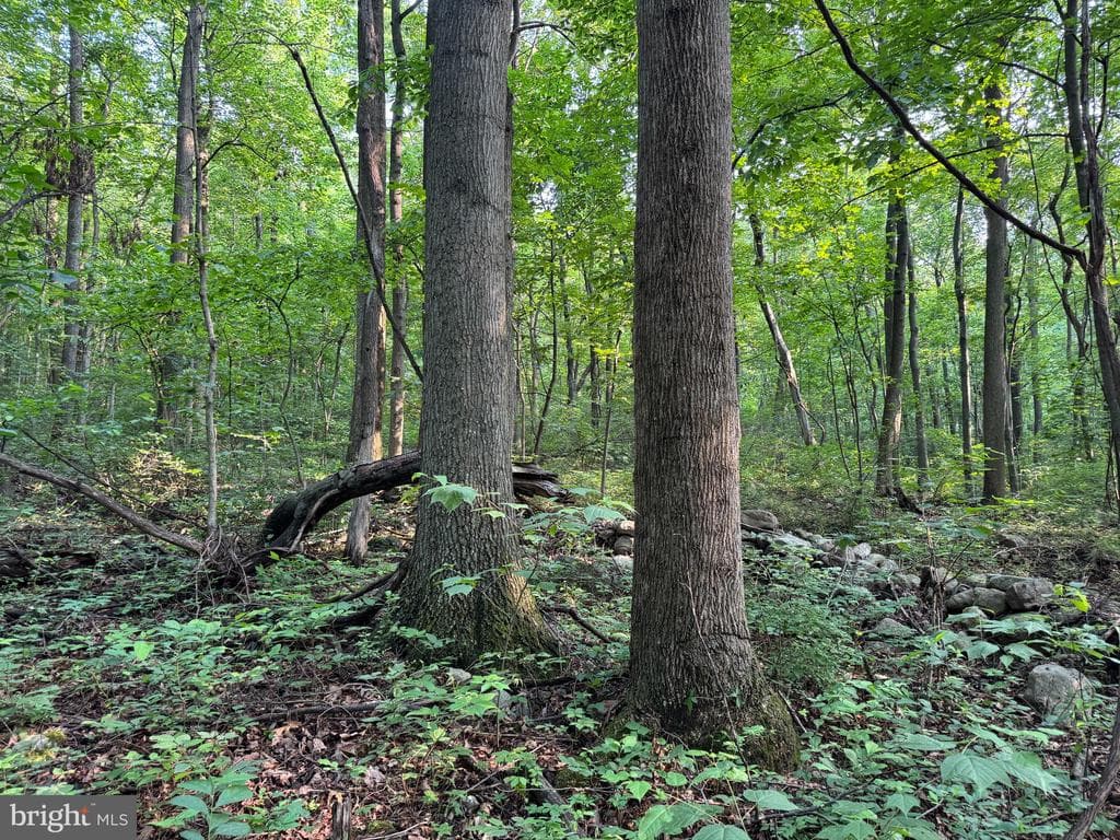 Property photo #0 for 5.5+/- Acres off Mountain Green Rd, Willow Hill, PA 17271