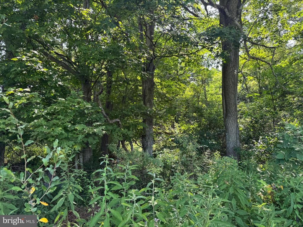 Property photo #25 for 7160 Little Cove Rd, Mercersburg, PA 17236