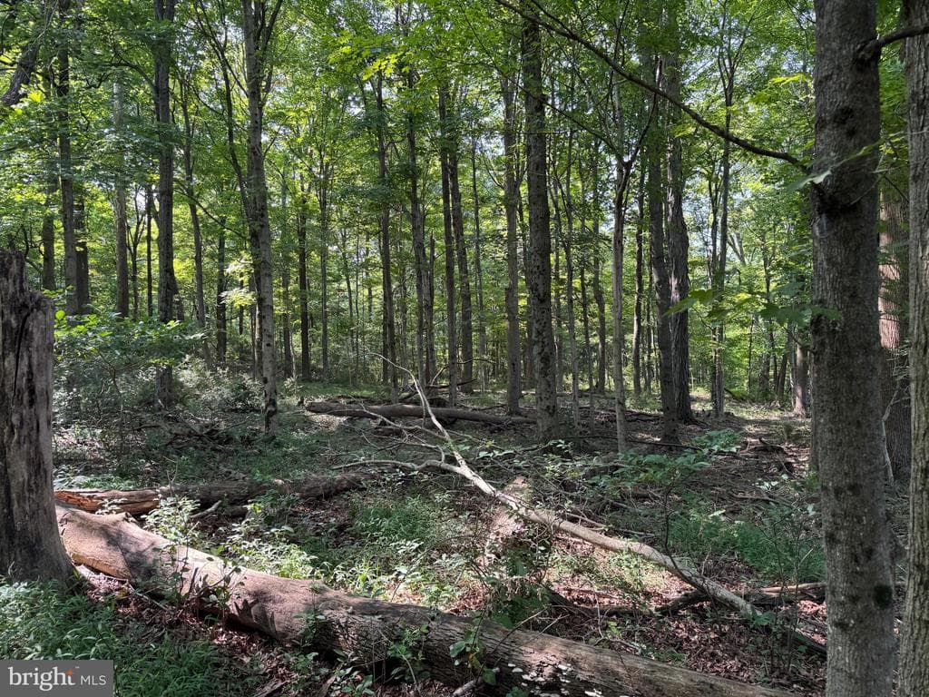 Property photo #26 for 7160 Little Cove Rd, Mercersburg, PA 17236