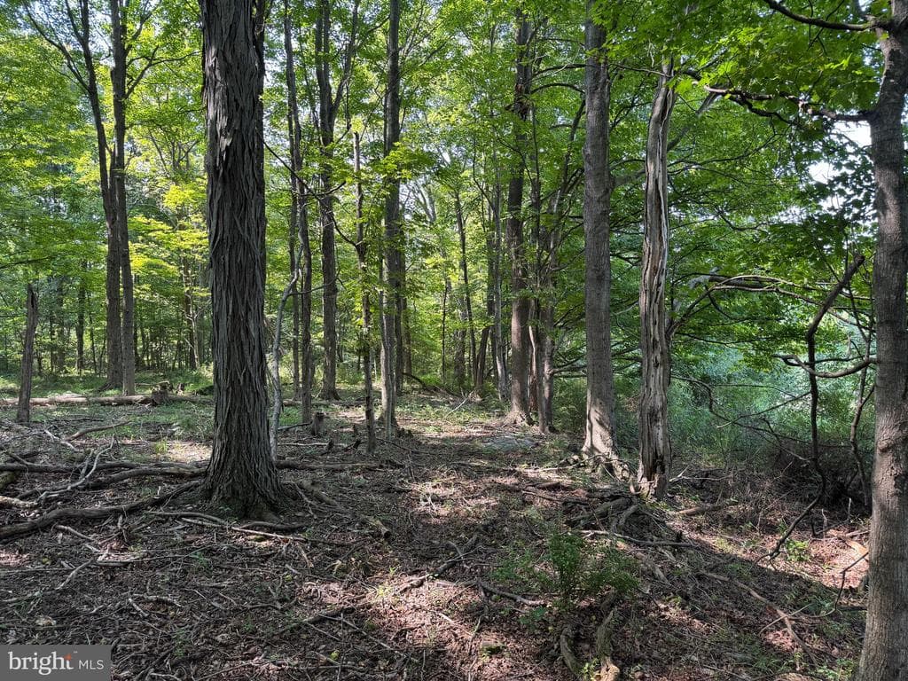 Property photo #28 for 7160 Little Cove Rd, Mercersburg, PA 17236