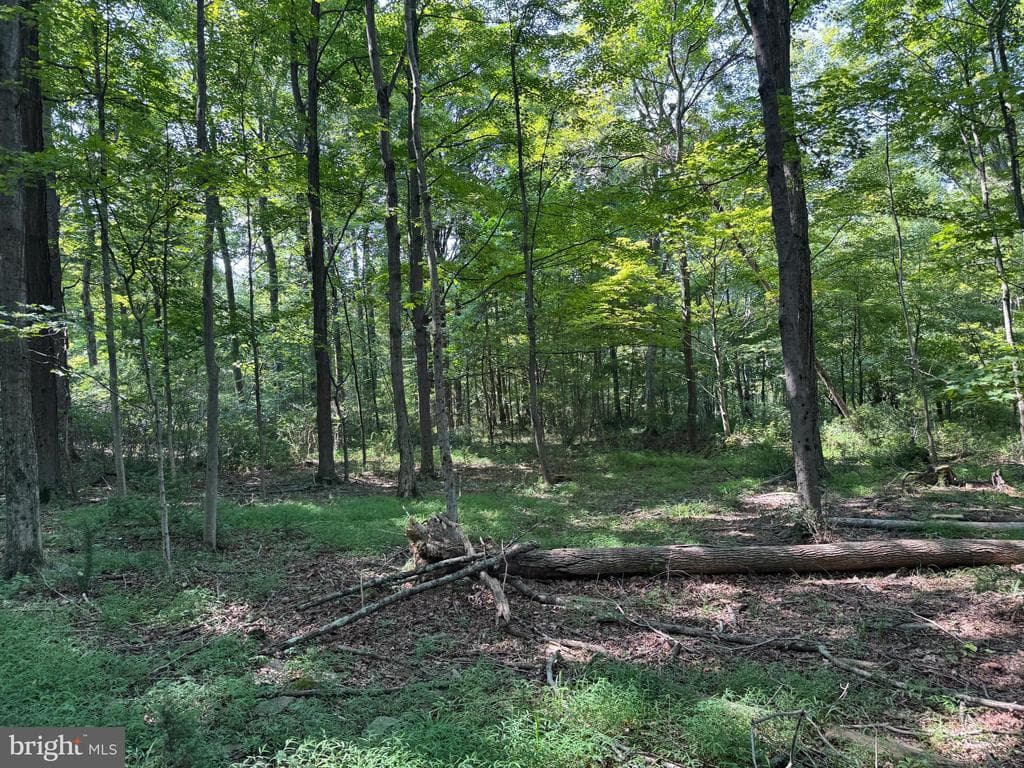 Property photo #29 for 7160 Little Cove Rd, Mercersburg, PA 17236