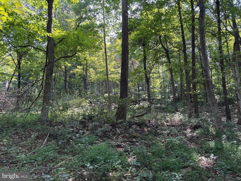 Property photo #30 for 7160 Little Cove Rd, Mercersburg, PA 17236