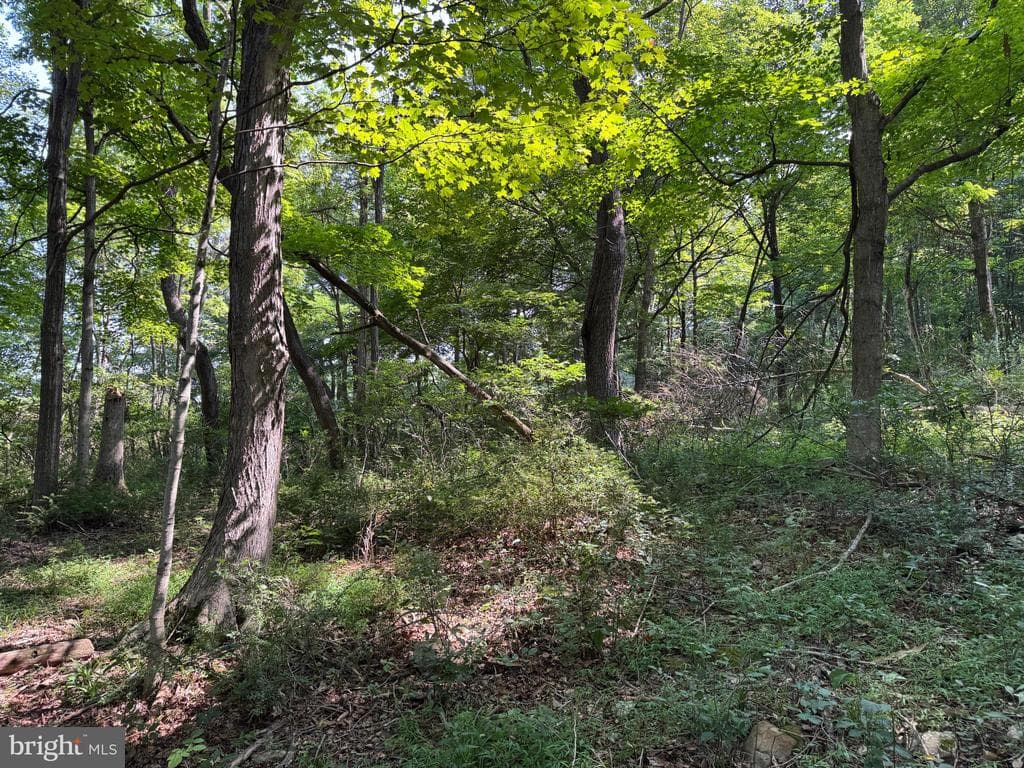 Property photo #31 for 7160 Little Cove Rd, Mercersburg, PA 17236