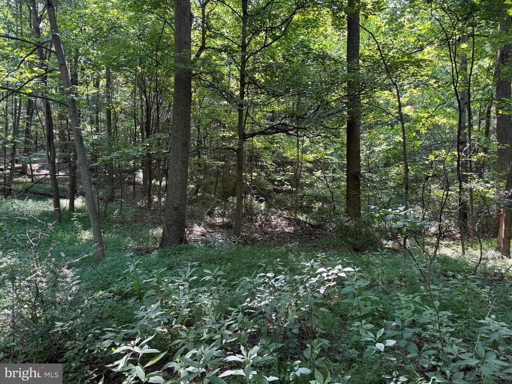 Property photo #32 for 7160 Little Cove Rd, Mercersburg, PA 17236