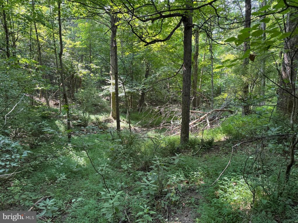 Property photo #33 for 7160 Little Cove Rd, Mercersburg, PA 17236