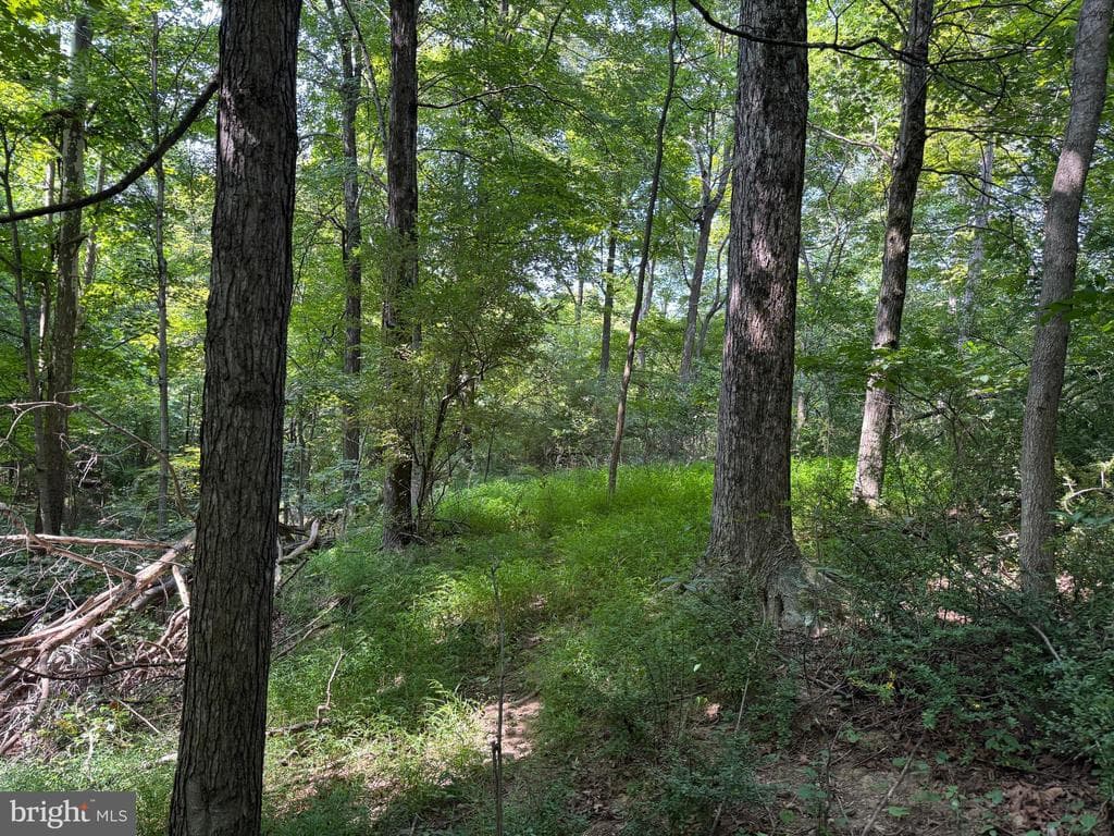 Property photo #34 for 7160 Little Cove Rd, Mercersburg, PA 17236