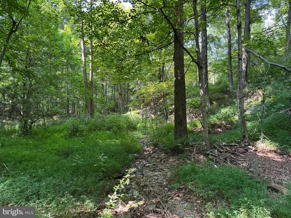 Property photo #35 for 7160 Little Cove Rd, Mercersburg, PA 17236