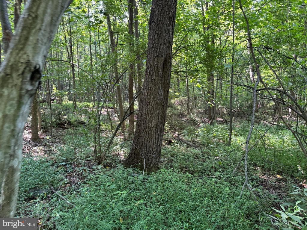Property photo #36 for 7160 Little Cove Rd, Mercersburg, PA 17236
