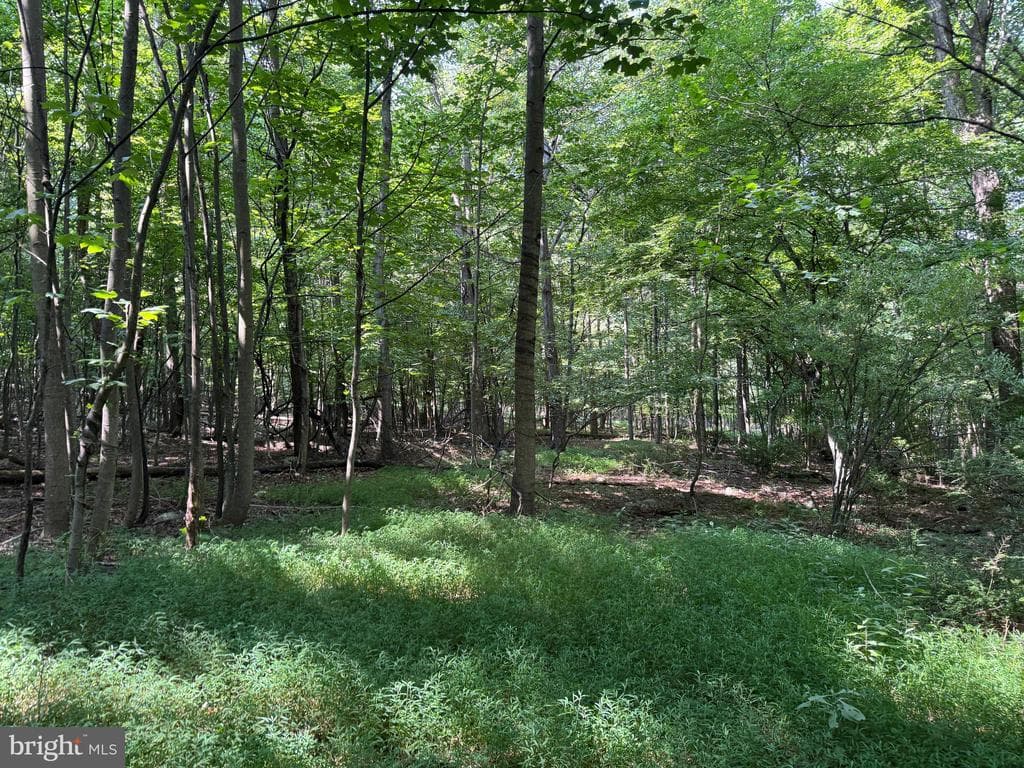 Property photo #37 for 7160 Little Cove Rd, Mercersburg, PA 17236
