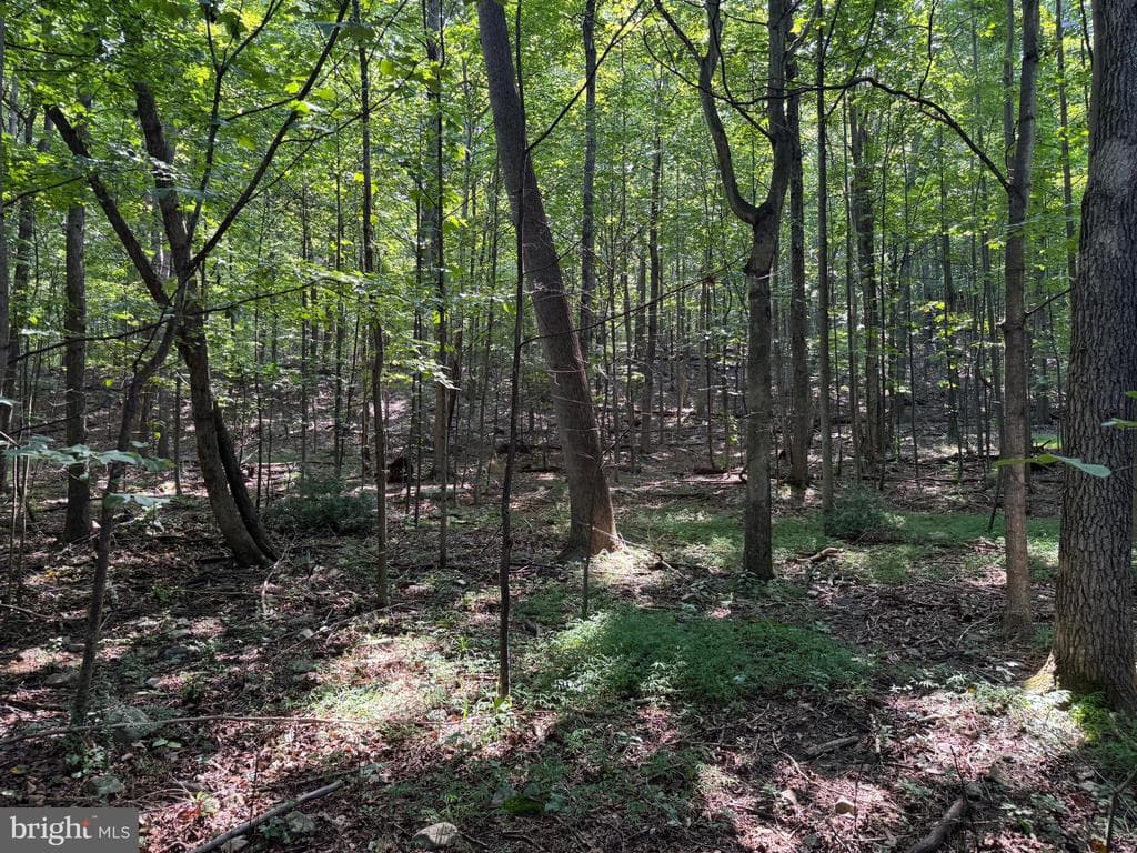 Property photo #38 for 7160 Little Cove Rd, Mercersburg, PA 17236