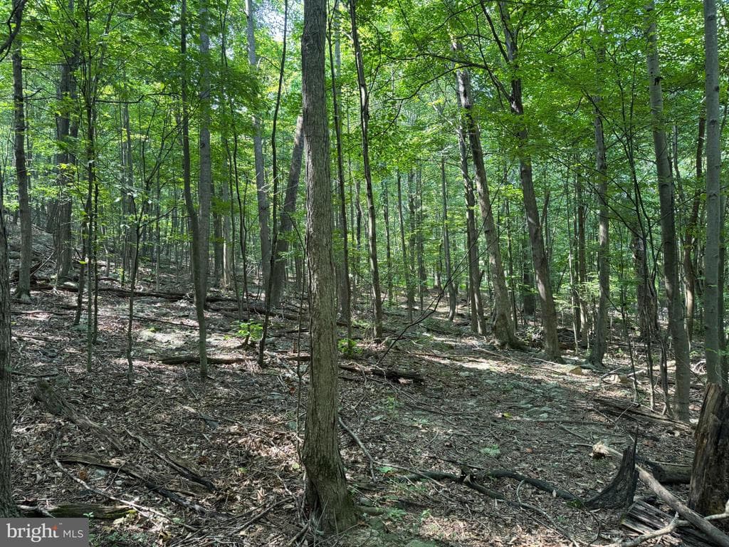 Property photo #39 for 7160 Little Cove Rd, Mercersburg, PA 17236