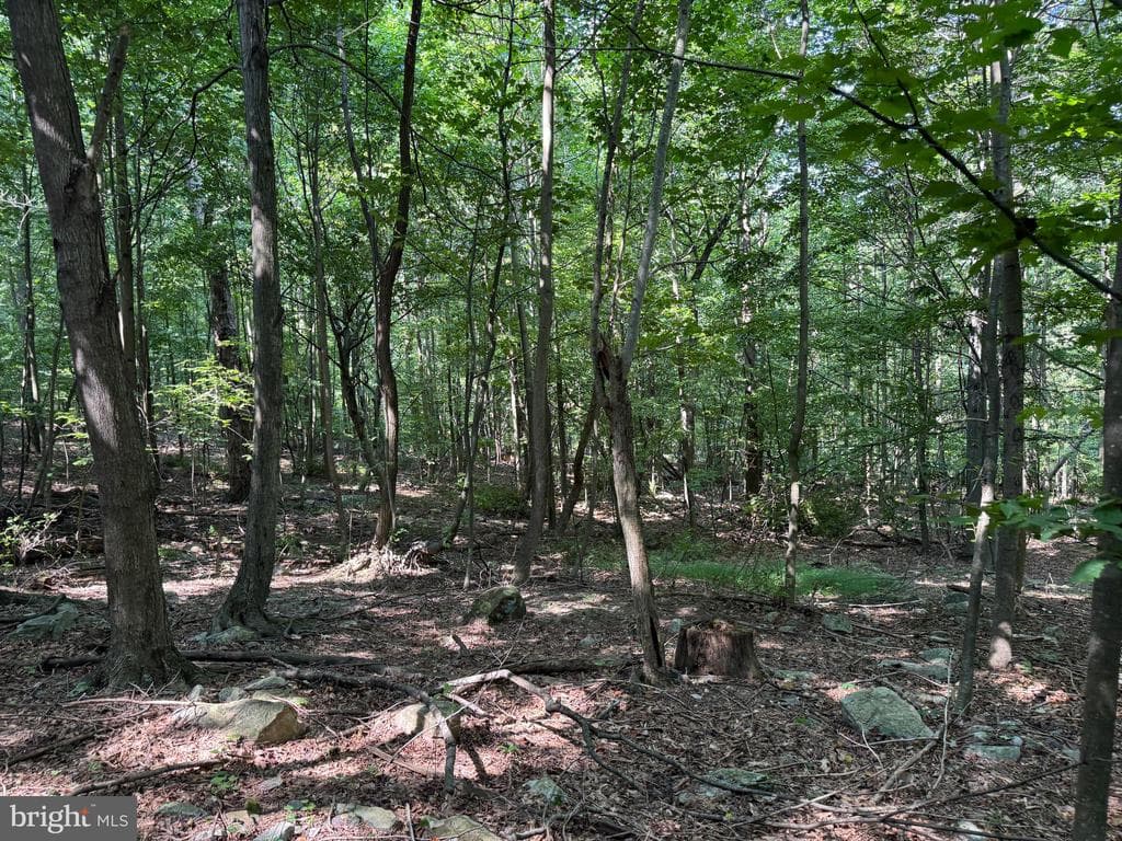 Property photo #41 for 7160 Little Cove Rd, Mercersburg, PA 17236