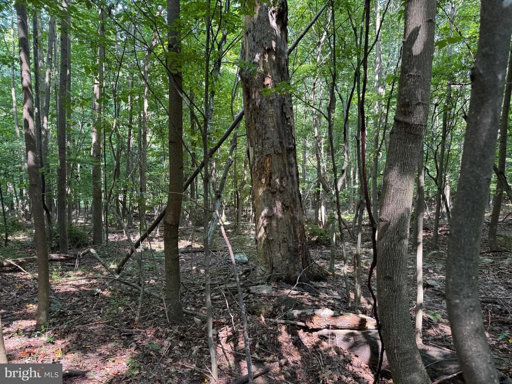 Property photo #42 for 7160 Little Cove Rd, Mercersburg, PA 17236