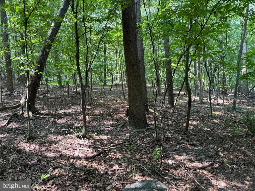 Property photo #43 for 7160 Little Cove Rd, Mercersburg, PA 17236
