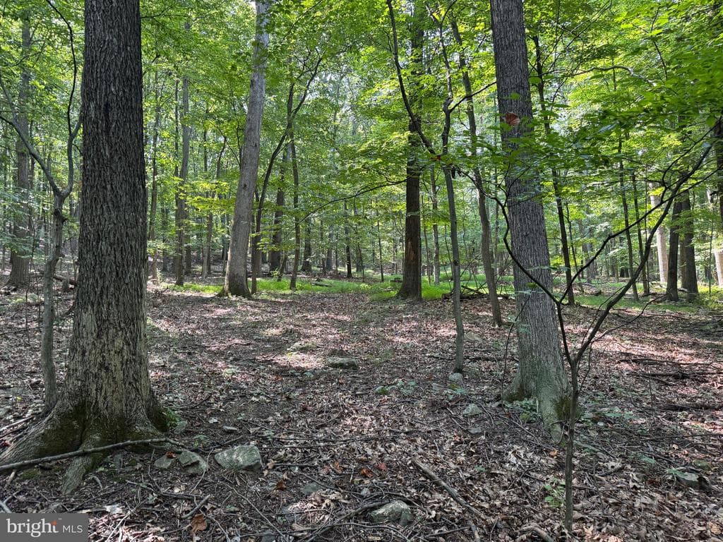 Property photo #44 for 7160 Little Cove Rd, Mercersburg, PA 17236