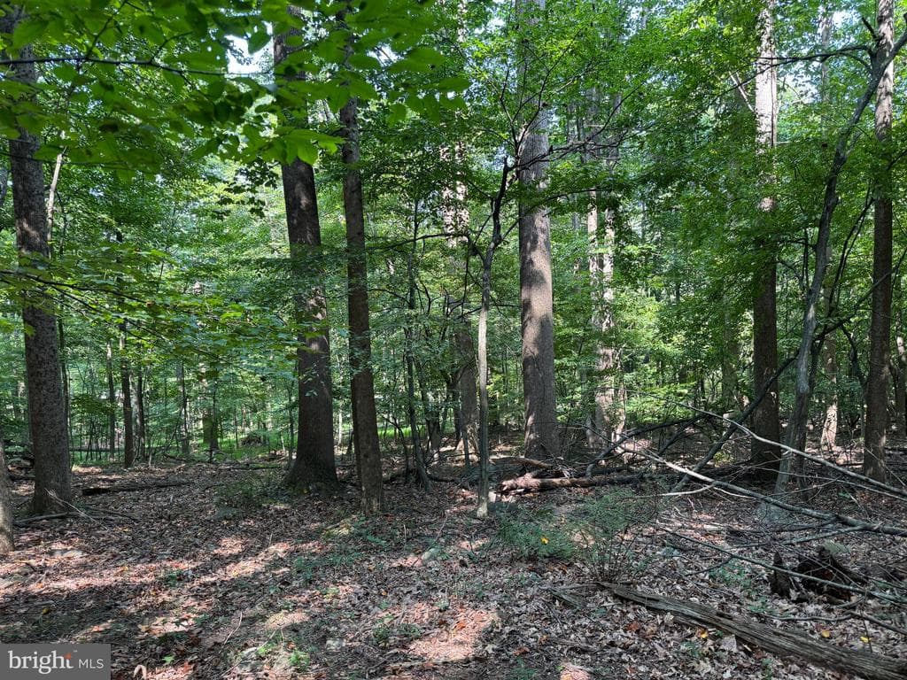 Property photo #45 for 7160 Little Cove Rd, Mercersburg, PA 17236