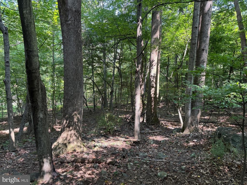Property photo #46 for 7160 Little Cove Rd, Mercersburg, PA 17236