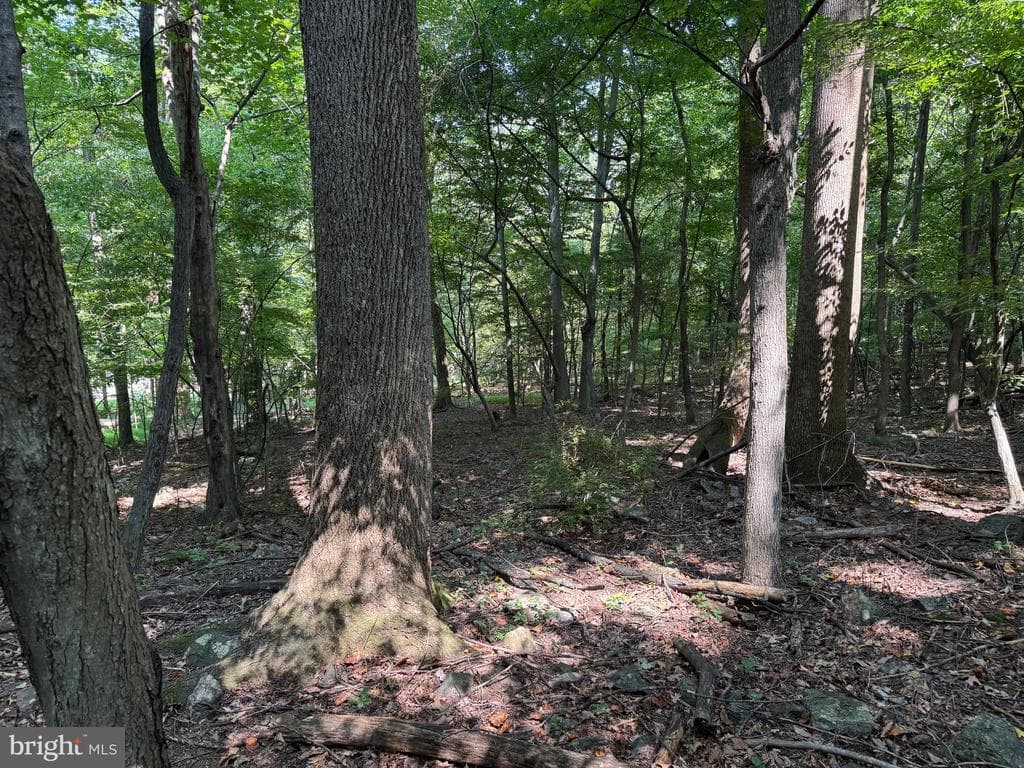 Property photo #47 for 7160 Little Cove Rd, Mercersburg, PA 17236