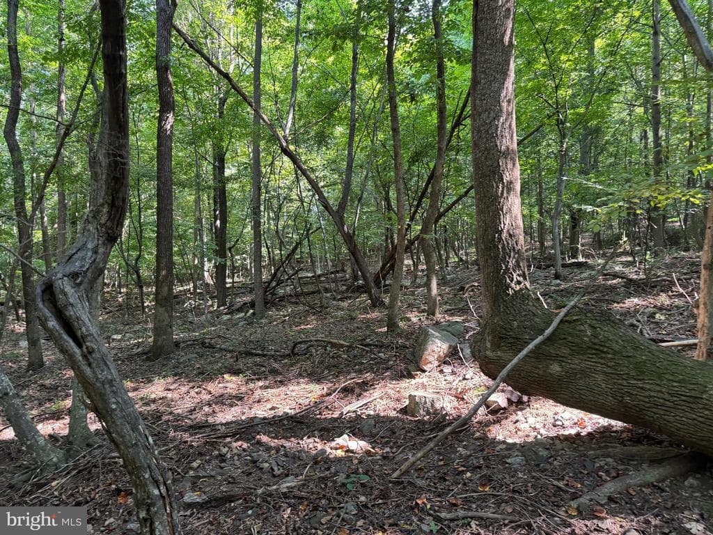 Property photo #48 for 7160 Little Cove Rd, Mercersburg, PA 17236
