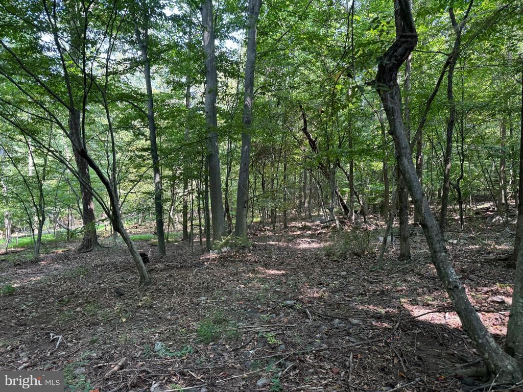 Property photo #49 for 7160 Little Cove Rd, Mercersburg, PA 17236