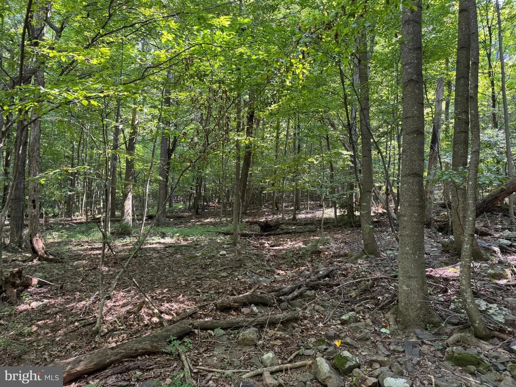 Property photo #50 for 7160 Little Cove Rd, Mercersburg, PA 17236