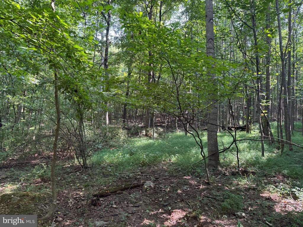 Property photo #51 for 7160 Little Cove Rd, Mercersburg, PA 17236