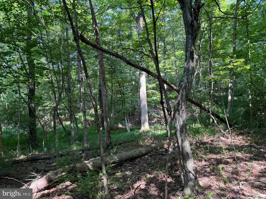 Property photo #52 for 7160 Little Cove Rd, Mercersburg, PA 17236