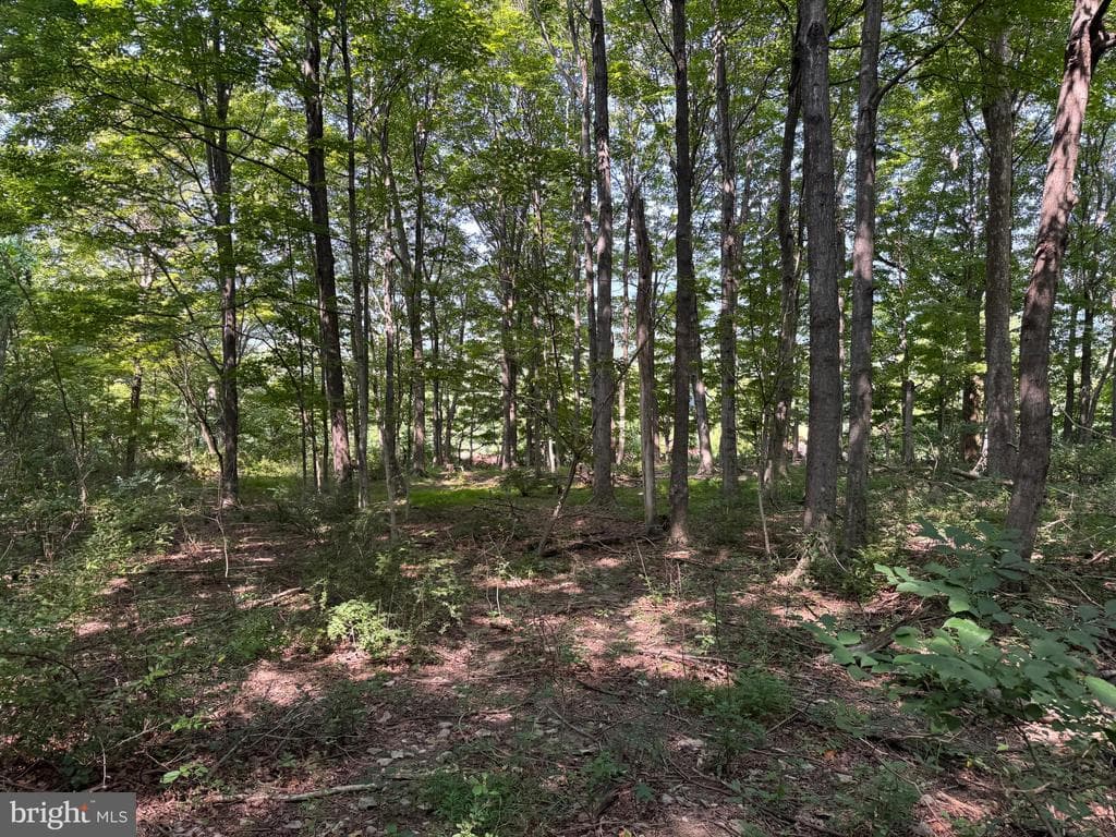 Property photo #54 for 7160 Little Cove Rd, Mercersburg, PA 17236